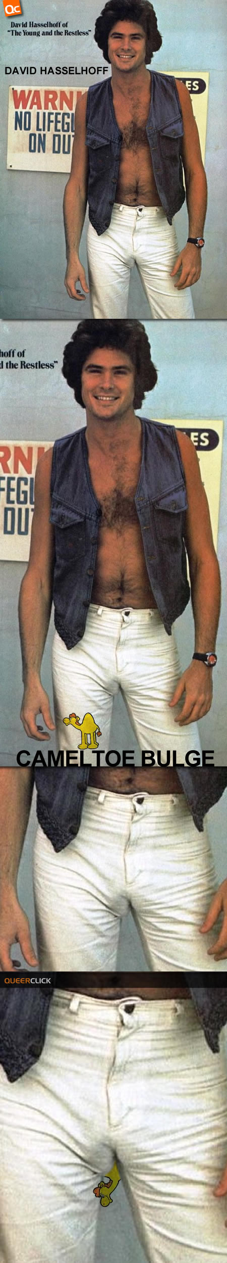 David Hasselhoff Bulge