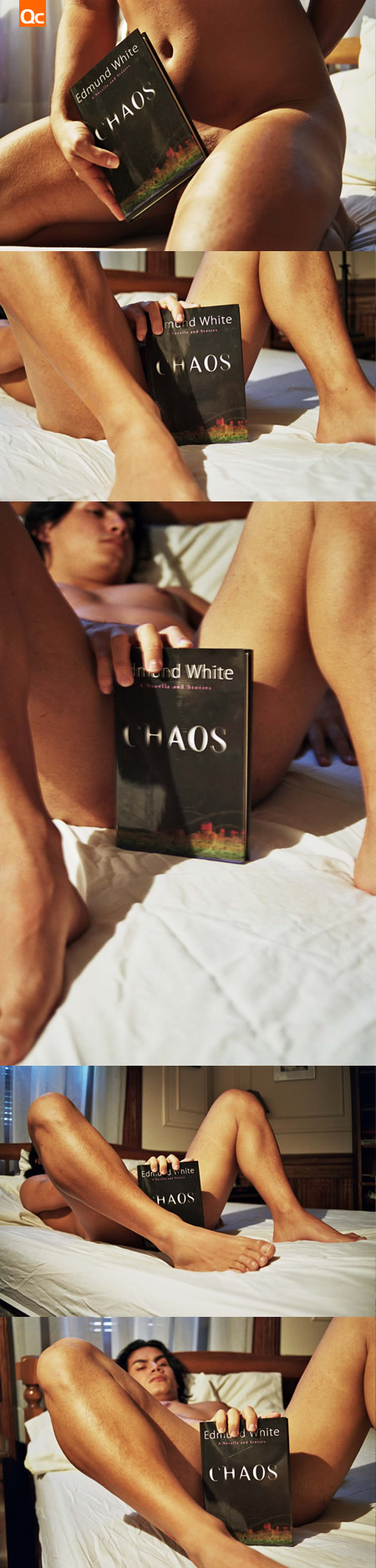 Shaun Frisky Reviews Edmund White's Chaos