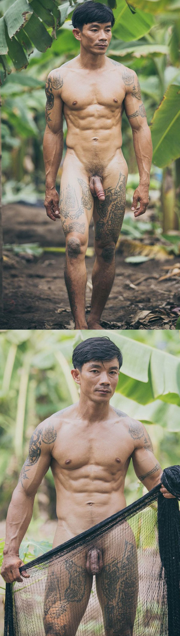 Thai Daddy At The Banana Farm